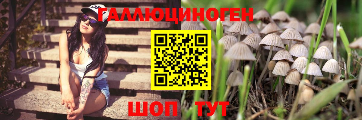 Псилоцибиновые грибы ЛСД Гусь-Хрустальный